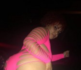 Clearwater Escort Alonna Star Adult Entertainer, Adult Service Provider, Escort and Companion.