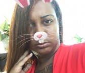 Chicago Escort Femdom Master Shelley  Adult Entertainer, Adult Service Provider, Escort and Companion.
