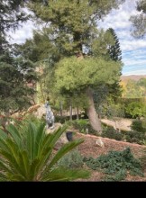 Sacramento Escort Launchpad367 Adult Entertainer in United States, Adult Service Provider, Escort and Companion.