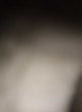 Albany Escort Bagomoneyhoney123 Adult Entertainer in United States, Adult Service Provider, Escort and Companion.