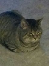 Wilmington Escort happyboyrob Adult Entertainer in United States, Adult Service Provider, Escort and Companion.