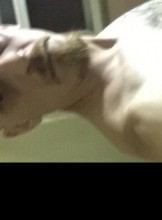 Columbus Escort OHguy614 Adult Entertainer in United States, Adult Service Provider, Escort and Companion.