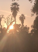 Pasadena Escort davideldad Adult Entertainer in United States, Adult Service Provider, Escort and Companion.