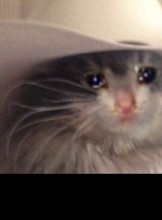 Houston Escort KvngofKvngs Adult Entertainer in United States, Adult Service Provider, Escort and Companion.