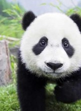 Lake Charles Escort ZEUS Adult Entertainer in United States, Adult Service Provider, Escort and Companion.