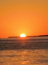 Philadelphia Escort ArtInPA Adult Entertainer in United States, Adult Service Provider, Escort and Companion.