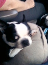 Miami Escort bluesprjkt Adult Entertainer in United States, Adult Service Provider, Escort and Companion.