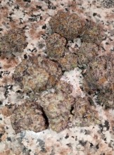 Fresno Escort Dadds22   Adult Entertainer in United States, Adult Service Provider, Escort and Companion.