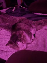 Phoenix Escort Puffsquigmont Adult Entertainer in United States, Adult Service Provider, Escort and Companion.