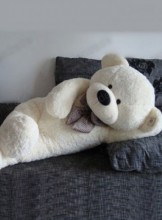 San Jose Escort Valida Adult Entertainer in United States, Adult Service Provider, Escort and Companion.