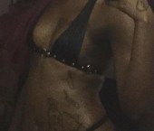 Memphis Escort Stacy  Rose Adult Entertainer in United States, Female Adult Service Provider, Jamaican Escort and Companion.