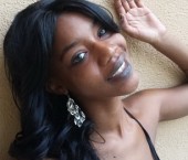 Tampa Escort Harmony Adult Entertainer in United States, Female Adult Service Provider, Escort and Companion.