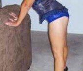 Phoenix Escort SexyJana Adult Entertainer in United States, Female Adult Service Provider, American Escort and Companion.