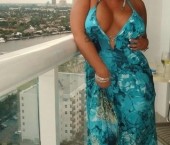 San Diego Escort TiffanyDream Adult Entertainer in United States, Female Adult Service Provider, Escort and Companion.