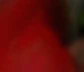 Minneapolis Escort Hannah10 Adult Entertainer in United States, Female Adult Service Provider, American Escort and Companion. - photo 5