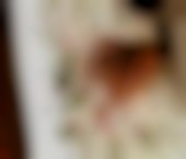 Dallas Escort LunaBanks Adult Entertainer in United States, Female Adult Service Provider, Mexican Escort and Companion. - photo 1