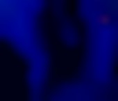 Dallas Escort LunaBanks Adult Entertainer in United States, Female Adult Service Provider, Mexican Escort and Companion. - photo 2