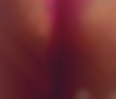 San Diego Escort Misty  Morrison Adult Entertainer in United States, Female Adult Service Provider, Italian Escort and Companion. - photo 2