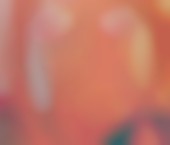 Photo of Ontario Escort Sloane - photo 5 Ontario Escort Sloane Adult Entertainer in United States, Female Adult Service Provider, Escort and Companion. - photo 5