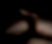 Las Vegas Escort Sutton  Skye Adult Entertainer in United States, Female Adult Service Provider, Italian Escort and Companion. - photo 3