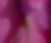 Photo of Washington DC Escort Veronica Turbay - photo 5 Washington DC Escort Veronica Turbay Adult Entertainer in United States, Female Adult Service Provider, Colombian Escort and Companion. - photo 5