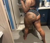 Dallas Escort Busty Adult Entertainer in United States, Female Adult Service Provider, Escort and Companion. photo 3