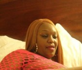 Buffalo Escort NeeseHoneyDipXXX Adult Entertainer in United States, Female Adult Service Provider, Escort and Companion. photo 4
