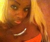 Las Vegas Escort nikkifreaky Adult Entertainer in United States, Female Adult Service Provider, Cuban Escort and Companion. photo 2