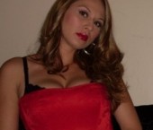 San Diego Escort SiennaGFE Adult Entertainer in United States, Female Adult Service Provider, Escort and Companion. photo 1