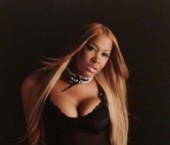 Fort Myers Escort SophiaBvlgari Adult Entertainer in United States, Female Adult Service Provider, Escort and Companion. photo 1