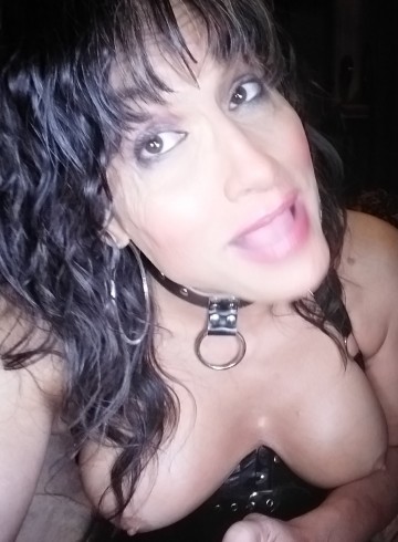 Tallahassee Escort A-Cadela Adult Entertainer in United States, Trans Adult Service Provider, Brazilian Escort and Companion.